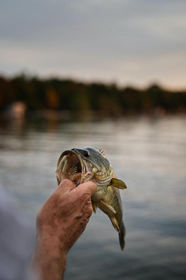 פרטוריה Bass Lake Country Lodge מראה חיצוני תמונה